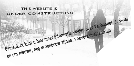 Binnenkort kunt u hier meer informatie vinden over Veehandel  J. Swier 
en ons nieuwe, nog in aanbouw zijnde, veeverzamelcentrum